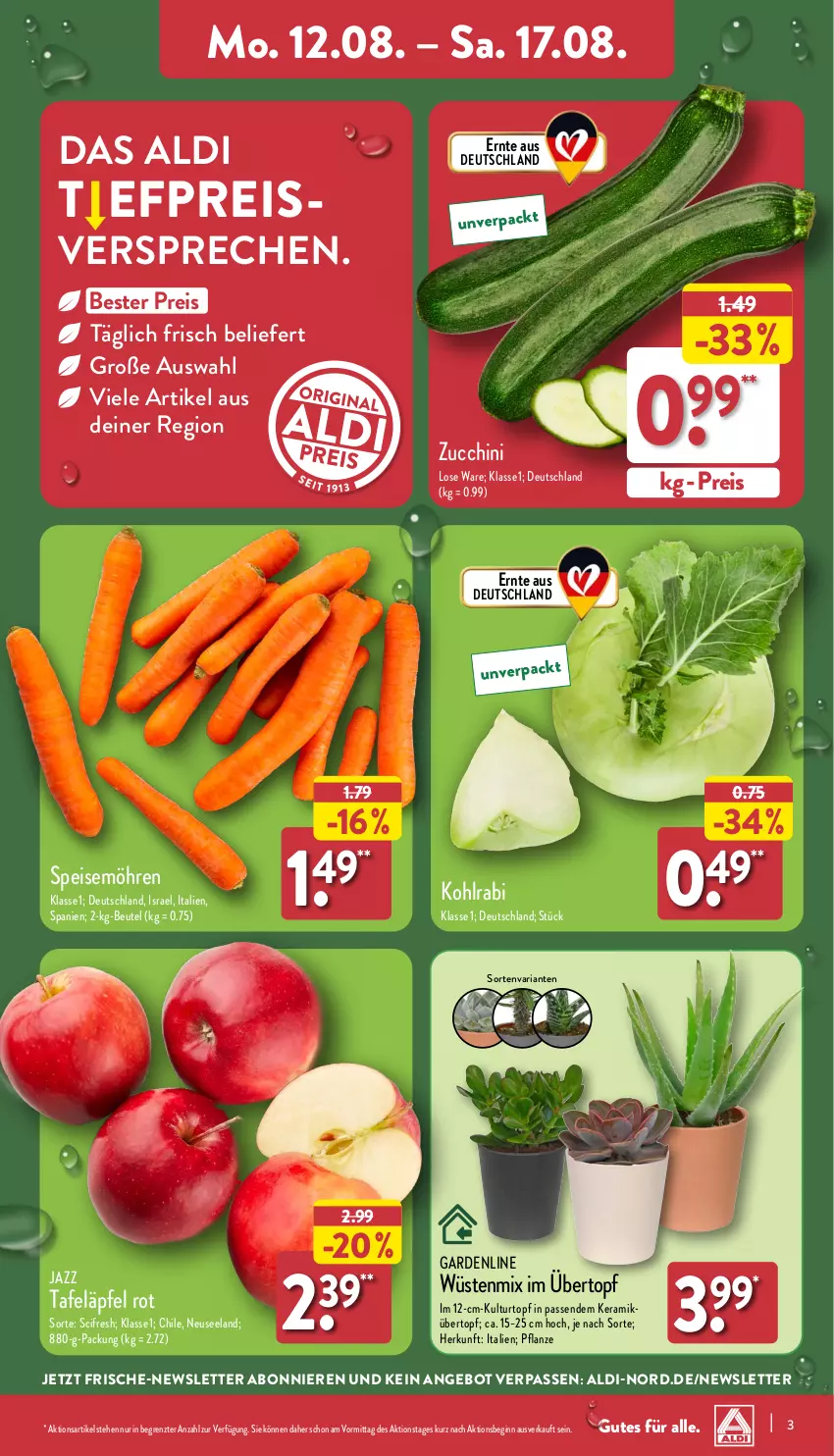 Aktueller Prospekt Aldi Nord - Von Montag - von 12.08 bis 17.08.2024 - strona 3 - produkty: aldi, angebot, beutel, Blüte, Brei, Cif, eis, Elan, gin, kohlrabi, kulturtopf, möhren, pflanze, reis, Ria, speisemöhren, tafeläpfel, Ti, topf, übertopf, ZTE, zucchini