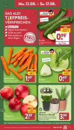 Gazetka promocyjna Aldi Nord - Von Montag - Gazetka - ważna od 17.08 do 17.08.2024 - strona 3 - produkty: aldi, angebot, beutel, Blüte, Brei, Cif, eis, Elan, gin, kohlrabi, kulturtopf, möhren, pflanze, reis, Ria, speisemöhren, tafeläpfel, Ti, topf, übertopf, ZTE, zucchini