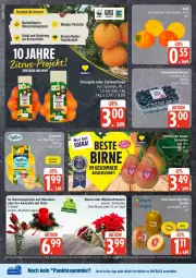 Gazetka promocyjna Edeka - Prospekte - Gazetka - ważna od 29.11 do 29.11.2025 - strona 6 - produkty: Birnen, deit, Holz, jumbo, kiwi, Kiwi Gold, Ria, rosen, tafelbirnen, Ti, topf, wasser, Weihnachtsstern