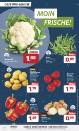 Gazetka promocyjna Combi - Prospekte - Gazetka - ważna od 31.12 do 31.12.2024 - strona 2 - produkty: beutel, blume, blumen, blumenkohl, cola, eis, grill, kartoffel, kartoffeln, lebensmittel, mozzarella, obst, Obst und Gemüse, paprika, paprika rot, reis, rel, rucola, Schal, Schale, speisekartoffeln, Speisezwiebeln, Ti, tomate, tomaten, und gemüse, ZTE, zwiebel, zwiebeln