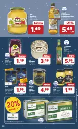 Gazetka promocyjna Combi - Prospekte - Gazetka - ważna od 31.12 do 31.12.2024 - strona 20 - produkty: apfel, apfelmus, eis, Feigen, flasche, fleisch, genovese, gin, Kühne, natives olivenöl, olive, oliven, olivenöl, olivenöl extra, pesto, rapsöl, reggiano, reis, rind, rindfleisch, rotkohl, sauce, senf, Ti, tomate, tomaten, ZTE