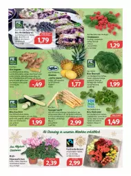 Gazetka promocyjna Feneberg - Prospekte - Gazetka - ważna od 24.12 do 24.12.2021 - strona 6 - produkty: Alpenveilchen, ananas, Bau, beere, beeren, bio, bio-zucchini, broccoli, butter, eis, elle, ente, feldsalat, frucht, gewürz, grill, heidelbeere, heidelbeeren, himbeer, himbeere, himbeeren, hollandaise, honig, ilag, ingwer, küche, kuchen, LG, mac, nuss, Pfannkuchen, reis, rosen, rwe, saft, salat, salate, saro, sauce, sauce hollandaise, Schal, Schale, schinken, spargel, tee, Ti, tisch, topf, zitrone, zucchini