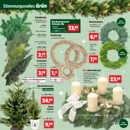 Gazetka promocyjna Thomas Philipps - Gazetka - ważna od 29.11 do 29.11.2025 - strona 5 - produkty: Adventskranz, dekoration, Girlande, kerze, Konifere, Kranz, Strohkranz, Tannengirlande, Ti, topf, übertopf