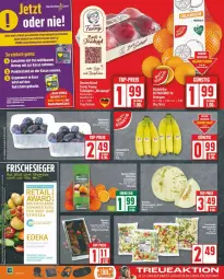 Gazetka promocyjna Edeka - Prospekte - Gazetka - ważna od 16.11 do 16.11.2024 - strona 2 - produkty: buch, eier, ente, gemuse, gutschein, obst, tante fanny, Ti