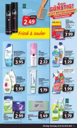 Gazetka promocyjna Markant - Prospekte - Gazetka - ważna od 29.10 do 29.10.2022 - strona 11 - produkty: bio, biozidprodukte, Bref, bref power, deo, deospray, Discreet, dove, dusche, eis, flasche, Frosch, geschirr, Kuschelweich, mac, natur, pflegedusche, Rauch, reiniger, reis, rwe, shampoo, somat, Tasche, taschen, taschentücher, Ti, tücher, weichspüler, ZTE