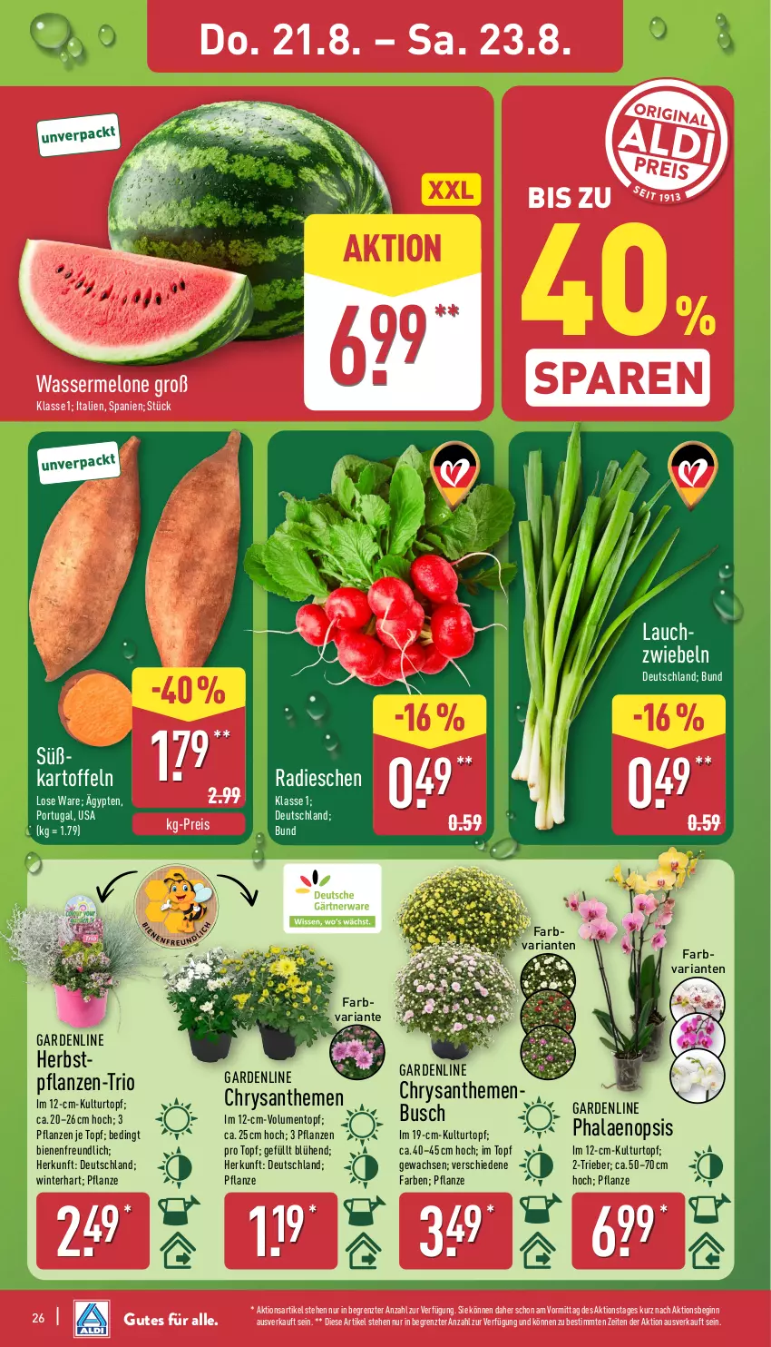 Aktueller Prospekt Aldi Nord - Von Montag - von 18.08 bis 23.08.2025 - strona 26 - produkty: chrysanthemen, eis, gin, kartoffel, kartoffeln, kulturtopf, melone, pflanze, pflanzen, phalaenopsis, radieschen, reis, Ria, Ti, topf, wasser, wassermelone, ZTE, zwiebel, zwiebeln