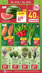 Gazetka promocyjna Aldi Nord - Von Montag - Gazetka - ważna od 23.08 do 23.08.2025 - strona 26 - produkty: chrysanthemen, eis, gin, kartoffel, kartoffeln, kulturtopf, melone, pflanze, pflanzen, phalaenopsis, radieschen, reis, Ria, Ti, topf, wasser, wassermelone, ZTE, zwiebel, zwiebeln