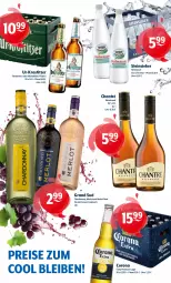 Gazetka promocyjna Getraenke Hoffmann - Prospekte - Gazetka - ważna od 09.11 do 09.11.2024 - strona 2 - produkty: alkohol, chantré, chardonnay, corona, corona extra, eis, grand sud, merl, merlot, pils, pilsner, reis, Steinsieker, Ti, vin de france, wasser, wein, weinbrand