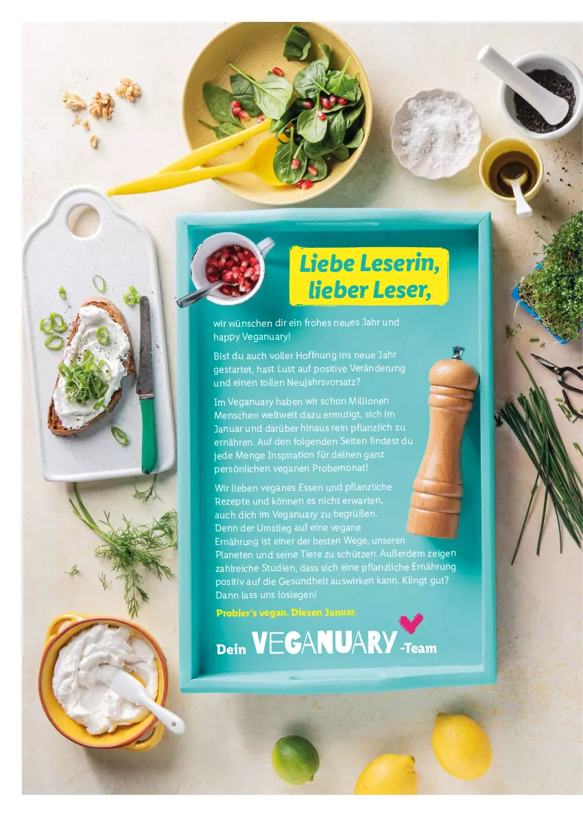 Aktueller Prospekt Lidl - Vegan Magazin - von 02.01 bis 05.02.2023 - strona 2 - produkty: bier, erde, Gesundheit, LG, lion, rezept, rezepte, Schütze, Ti, Tiere