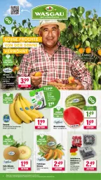 Gazetka promocyjna Wasgau - Gazetka - ważna od 12.07 do 12.07.2025 - strona 8 - produkty: angebot, aprikose, banane, bananen, beere, beeren, brombeere, brombeeren, eis, fleisch, früchte, Galia-melone, heidelbeere, heidelbeeren, himbeer, himbeere, himbeeren, melone, melonen, Nektar, nektarinen, paraguayos, pfirsich, pfirsiche, pfirsiche oder, reis, Schal, Schale, Ti, wasser, wassermelone, wassermelonen, Yo