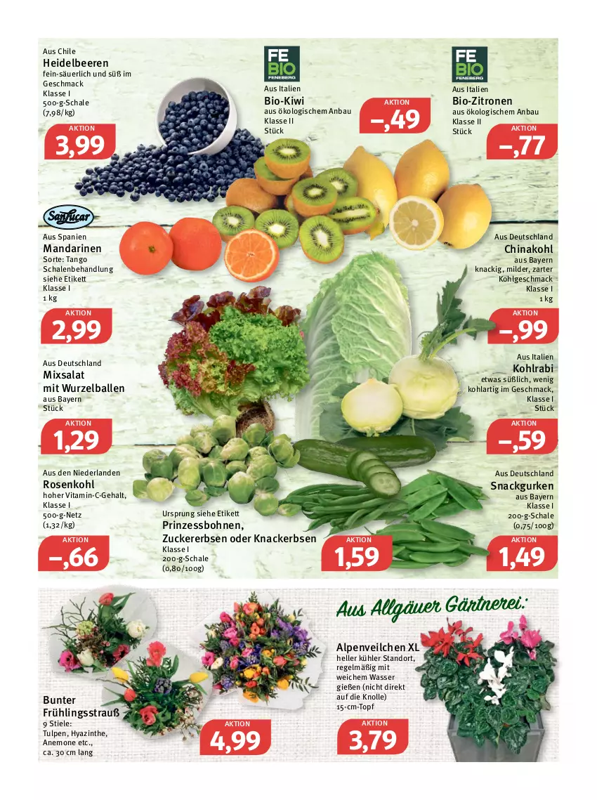 Aktueller Prospekt Feneberg - Prospekte - von 20.01 bis 22.01.2022 - strona 6 - produkty: Alpenveilchen, ball, Bau, beere, beeren, bio, bio-zitronen, bohne, bohnen, elle, erbsen, gurke, gurken, heidelbeere, heidelbeeren, kiwi, knacker, kohlrabi, LG, mac, mandarine, mandarinen, prinzessbohnen, rosen, Rosenkohl, salat, Schal, Schale, snack, Ti, topf, vita, wasser, zitrone, zitronen, zucker