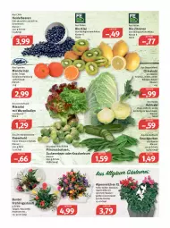 Gazetka promocyjna Feneberg - Prospekte - Gazetka - ważna od 22.01 do 22.01.2022 - strona 6 - produkty: Alpenveilchen, ball, Bau, beere, beeren, bio, bio-zitronen, bohne, bohnen, elle, erbsen, gurke, gurken, heidelbeere, heidelbeeren, kiwi, knacker, kohlrabi, LG, mac, mandarine, mandarinen, prinzessbohnen, rosen, Rosenkohl, salat, Schal, Schale, snack, Ti, topf, vita, wasser, zitrone, zitronen, zucker