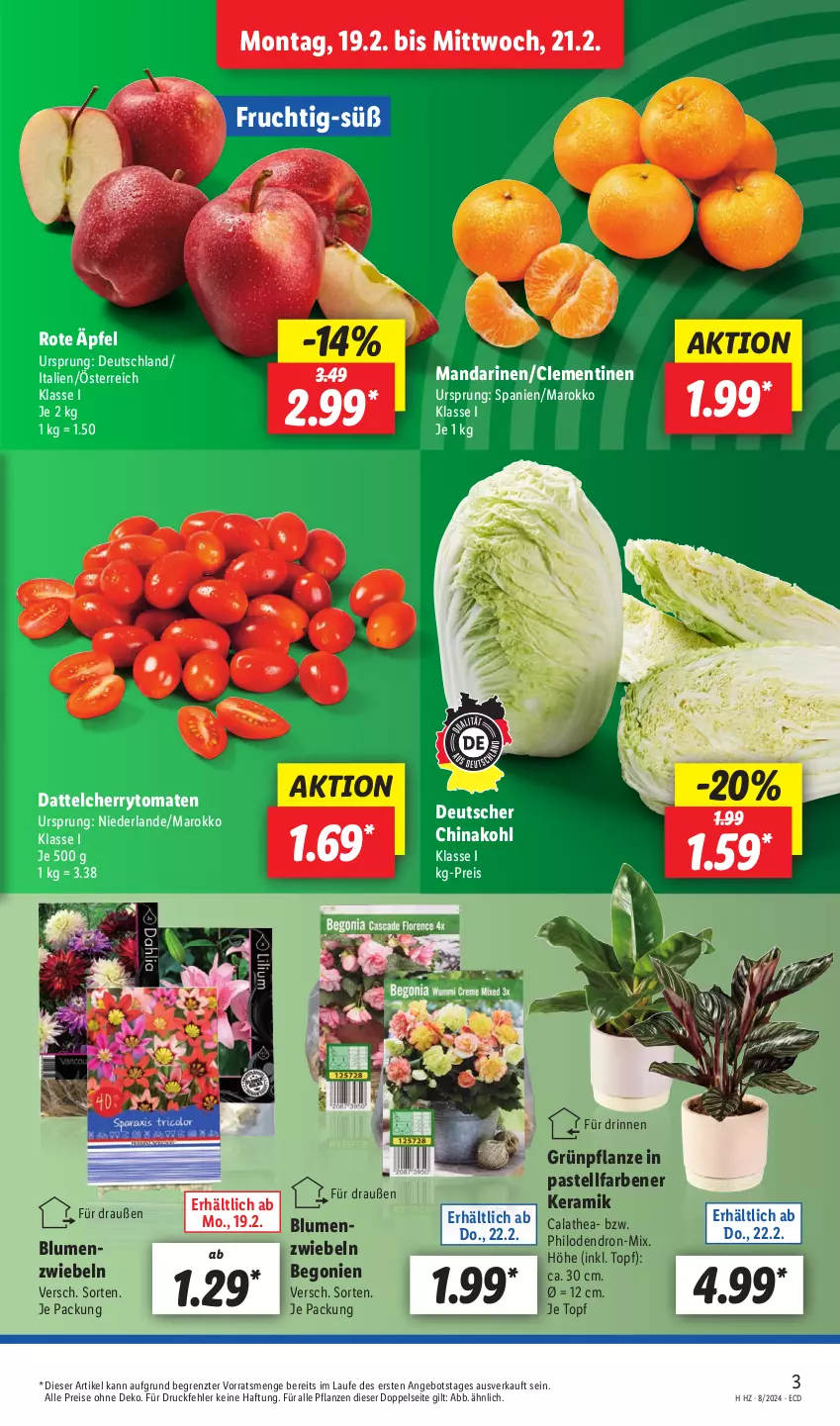 Aktueller Prospekt Lidl - Aktionsprospekt - von 19.02 bis 24.02.2024 - strona 3 - produkty: angebot, Begonie, blume, blumen, cherrytomaten, clementinen, eis, frucht, mandarine, mandarinen, pflanze, pflanzen, reis, Thea, Ti, tomate, tomaten, topf, ZTE, zwiebel, zwiebeln