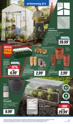 Gazetka promocyjna Lidl - Aktionsprospekt - Gazetka - ważna od 24.02 do 24.02.2024 - strona 37 - produkty: Abba, Bau, bio, Bona, eis, fenster, Garten, Gewächshaus, kokos, kraft, latte, Parkside, pflanze, pflanzen, reis, Ria, rwe, tablet, tablett, Tablette, Ti, tisch, weck, ZTE