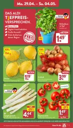 Gazetka promocyjna Aldi Nord - Von Montag - Gazetka - ważna od 04.05 do 04.05.2024 - strona 3 - produkty: aldi, angebot, basilikum, eis, reis, rispentomaten, sac, Schal, Schale, spargel, Ti, tomate, tomaten, topf, zitrone, zitronen, ZTE, zwiebel, zwiebeln