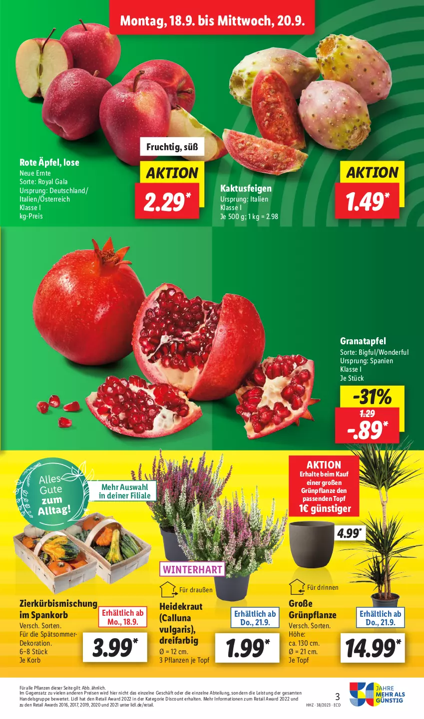 Aktueller Prospekt Lidl - Aktionsprospekt - von 18.09 bis 23.09.2023 - strona 3 - produkty: Abtei, apfel, dekoration, discount, eis, erde, Feigen, frucht, grana, granatapfel, Heidekraut, korb, Kraut, LG, pflanze, pflanzen, Rana, reis, Ti, topf