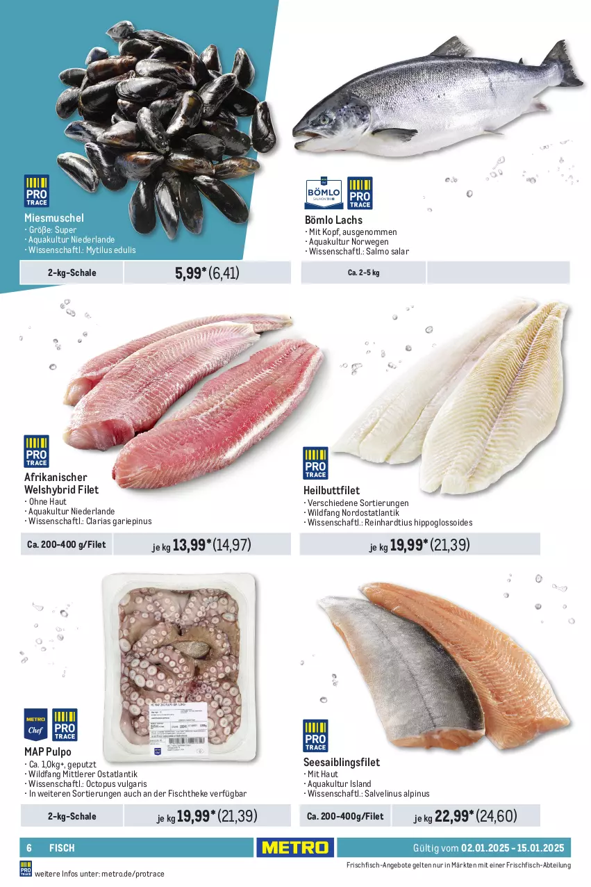 Aktueller Prospekt Metro - GastroJournal - von 02.01 bis 15.01.2025 - strona 6 - produkty: Abtei, angebot, angebote, aqua, filet, fisch, fischtheke, frischfisch, Heilbuttfilet, hipp, lachs, LG, Metro, Ria, rwe, Saibling, Schal, Schale, Seesaiblingsfilet, Ti, Wels, Wild