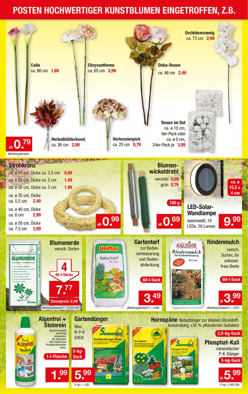 Aktueller Prospekt Zimmermann - Prospekte - von 04.09.2021 bis 09.09.2023 - strona 5 - produkty: blume, blumen, blumenerde, Draht, dünger, eis, erde, Garten, hortensie, hortensien, Kraut, Lampe, natur, orchidee, orchideen, rind, rindenmulch, rosen, tee, Ti, WICK