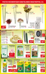 Gazetka promocyjna Zimmermann - Prospekte - Gazetka - ważna od 09.09 do 09.09.2023 - strona 5 - produkty: blume, blumen, blumenerde, Draht, dünger, eis, erde, Garten, hortensie, hortensien, Kraut, Lampe, natur, orchidee, orchideen, rind, rindenmulch, rosen, tee, Ti, WICK