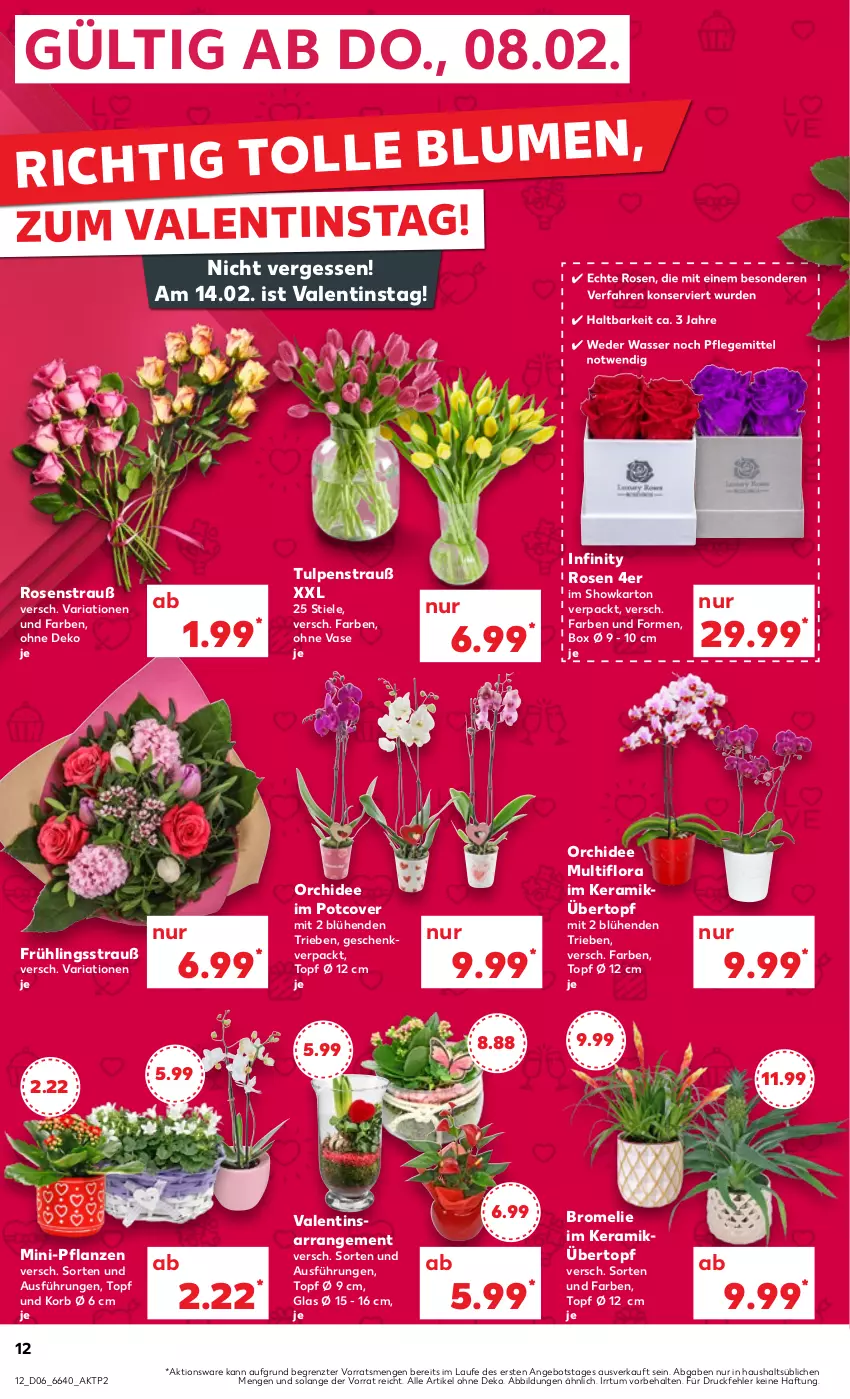 Aktueller Prospekt Kaufland - Prospekt - von 08.02 bis 14.02.2024 - strona 12 - produkty: angebot, blume, blumen, Bromelie, korb, orchidee, pflanze, pflanzen, Ria, rosen, Rosenstrauß, Ti, topf, topf ø 12 cm, übertopf, Vase, ZTE