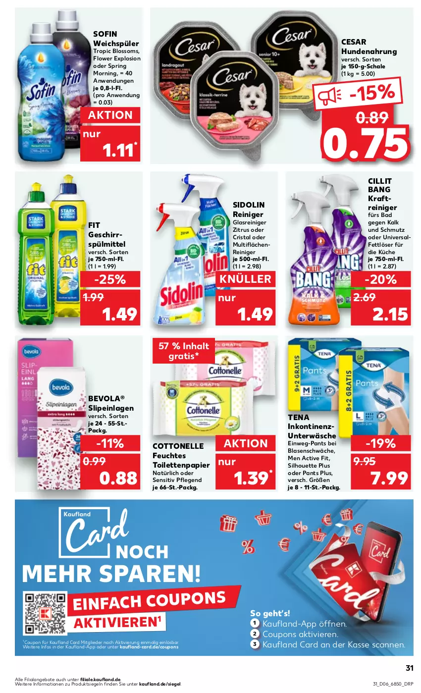 Aktueller Prospekt Kaufland - Prospekt - von 08.02 bis 14.02.2024 - strona 31 - produkty: angebot, angebote, Bad, Cillit, cillit bang, cottonelle, coupon, coupons, elle, Fettlöser, feuchtes toilettenpapier, geschirr, geschirrspülmittel, Glasreiniger, hundenahrung, kraft, küche, Pants, papier, reiniger, ring, Schal, Schale, sidolin, slip, slipeinlagen, spülmittel, Ti, toilettenpapier, Unterwäsche, weichspüler