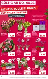 Gazetka promocyjna Kaufland - Prospekt - Gazetka - ważna od 14.02 do 14.02.2024 - strona 12 - produkty: angebot, blume, blumen, Bromelie, korb, orchidee, pflanze, pflanzen, Ria, rosen, Rosenstrauß, Ti, topf, topf ø 12 cm, übertopf, Vase, ZTE