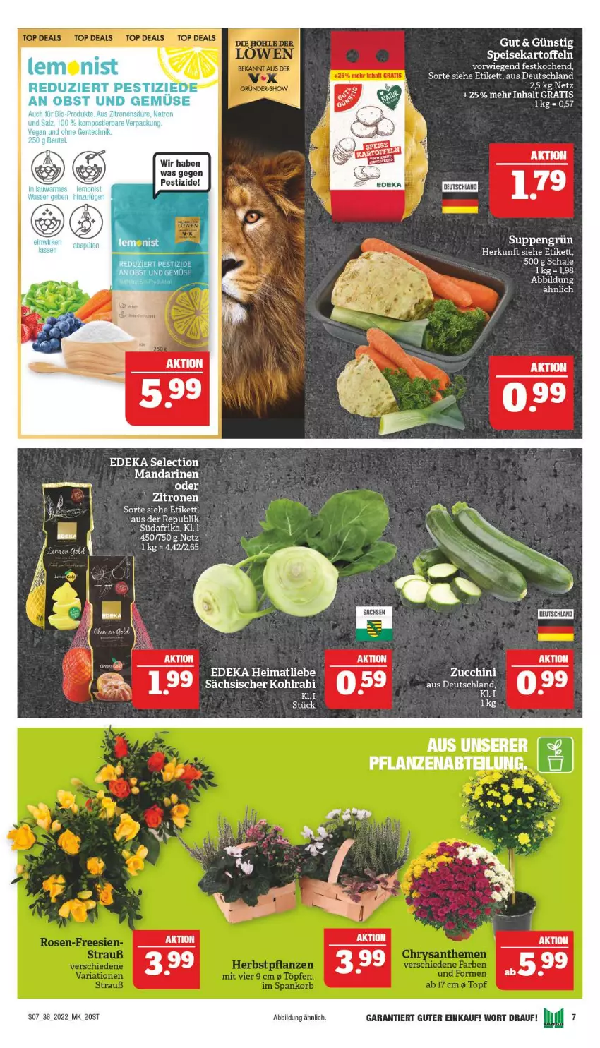 Aktueller Prospekt Marktkauf - Prospekt - von 04.09 bis 10.09.2022 - strona 7 - produkty: deka, eis, kartoffel, kartoffeln, mandarine, mandarinen, speisekartoffeln, suppe, suppen, Ti, zitrone, zitronen, zucchini