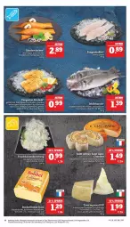 Gazetka promocyjna Marktkauf - Prospekt - Gazetka - ważna od 10.09 do 10.09.2022 - strona 10 - produkty: albray, bonbel, braten, butter, eier, eis, filet, fisch, frischkäse, frischkäsezubereitung, grana, halbfester schnittkäse, hartkäse, ideal zum braten, italienischer hartkäse, Käse, milch, natur, Pangasius, paprika, Rana, reis, saint albray, schnittkäse, Ti, tisch, uhr, wasser, Wels, wolfsbarsch, ZTE