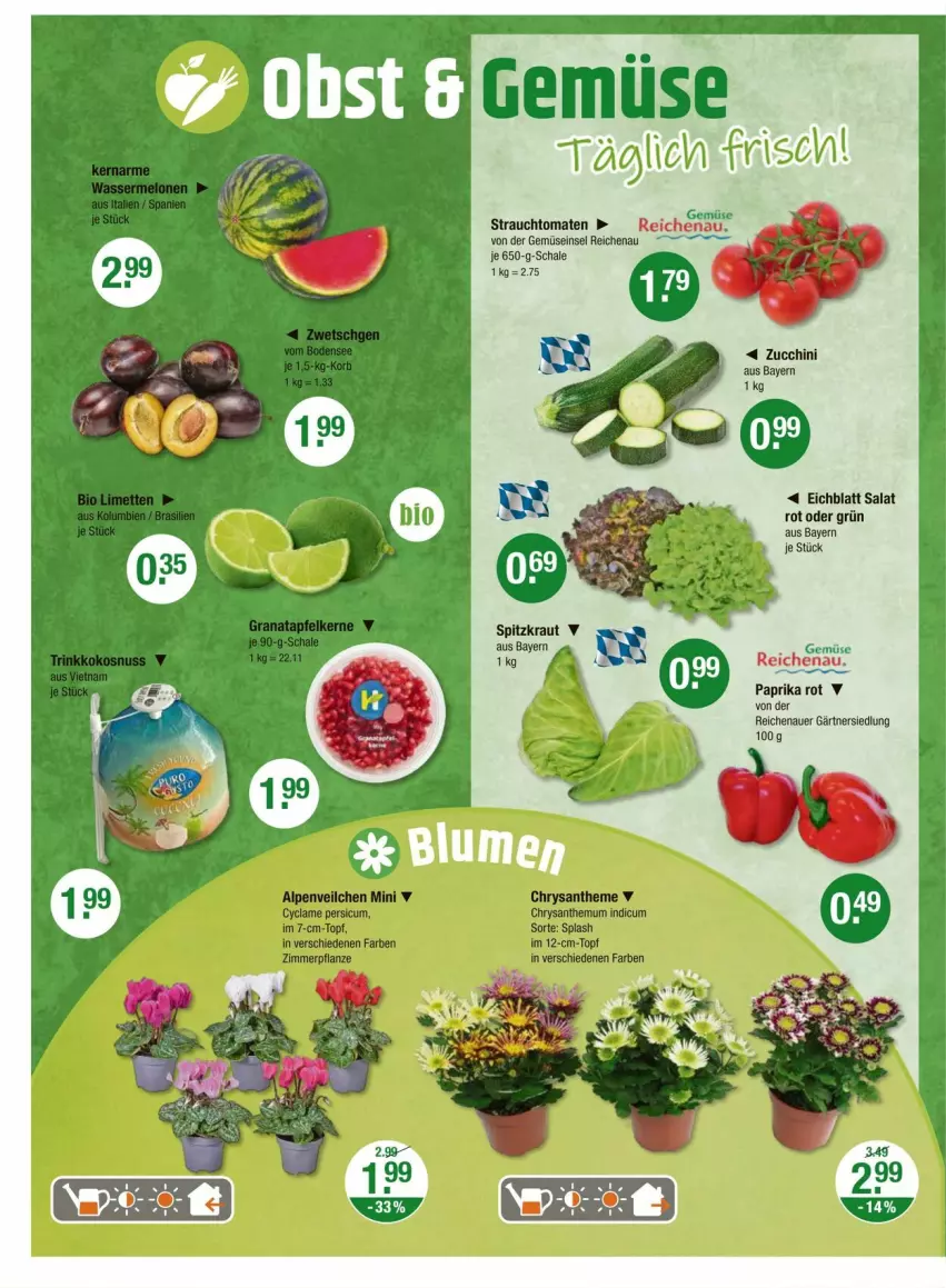 Aktueller Prospekt Vmarkt - Prospekte - von 24.07 bis 30.07.2025 - strona 4 - produkty: auer, Kraut, paprika, Rauch, salat, Schal, Schale, strauchtomaten, tomate, tomaten, zucchini