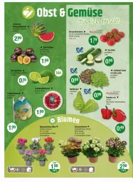 Gazetka promocyjna Vmarkt - Prospekte - Gazetka - ważna od 30.07 do 30.07.2025 - strona 4 - produkty: auer, Kraut, paprika, Rauch, salat, Schal, Schale, strauchtomaten, tomate, tomaten, zucchini