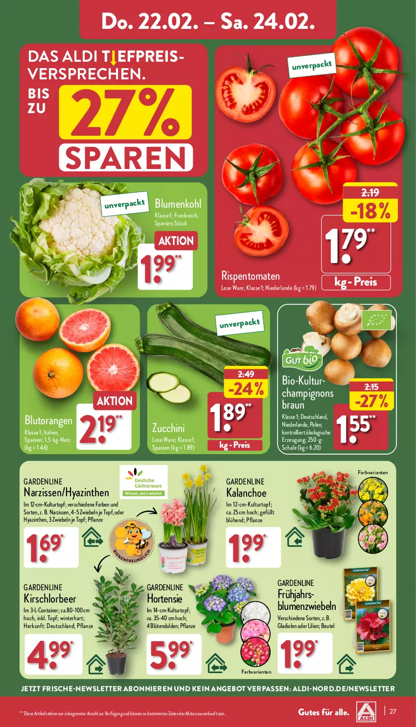 Aktueller Prospekt Aldi Nord - Von Montag - von 19.02 bis 24.02.2024 - strona 27 - produkty: aldi, angebot, beutel, bio, blume, blumen, blumenkohl, Blüte, Blutorange, braun, Brei, Container, eis, Gladiolen, hortensie, Kalanchoe, kirsch, kulturtopf, Narzissen, orange, orangen, pflanze, reis, Ria, rispentomaten, Schal, Schale, Ti, tomate, tomaten, topf, trolli, ZTE, zucchini, zwiebel, zwiebeln