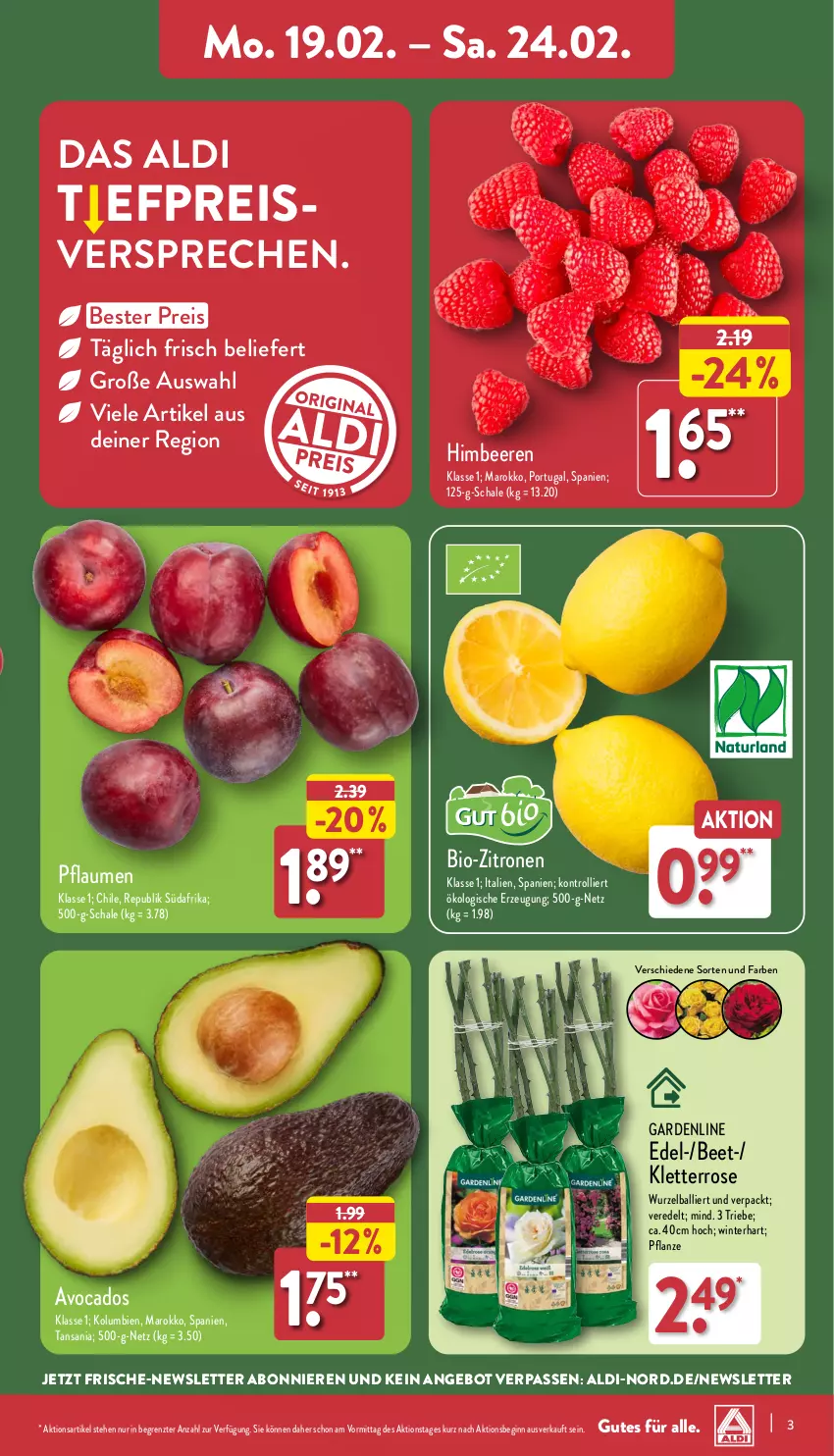 Aktueller Prospekt Aldi Nord - Von Montag - von 19.02 bis 24.02.2024 - strona 3 - produkty: aldi, angebot, avocado, avocados, ball, beere, beeren, bio, bio-zitronen, Blüte, Brei, eis, gin, himbeer, himbeere, himbeeren, pflanze, pflaume, pflaumen, reis, Schal, Schale, Ti, trolli, zitrone, zitronen, ZTE