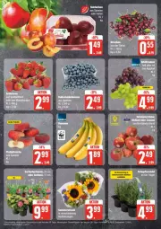 Gazetka promocyjna Edeka - Prospekte - Gazetka - ważna od 29.06 do 29.06.2024 - strona 4 - produkty: beere, beeren, deka, eis, erdbeere, erdbeeren, kirsch, kirsche, kirschen, lavendel, Nektar, nektarinen, reis, tafeltrauben, tee, Ti, trauben, ZTE