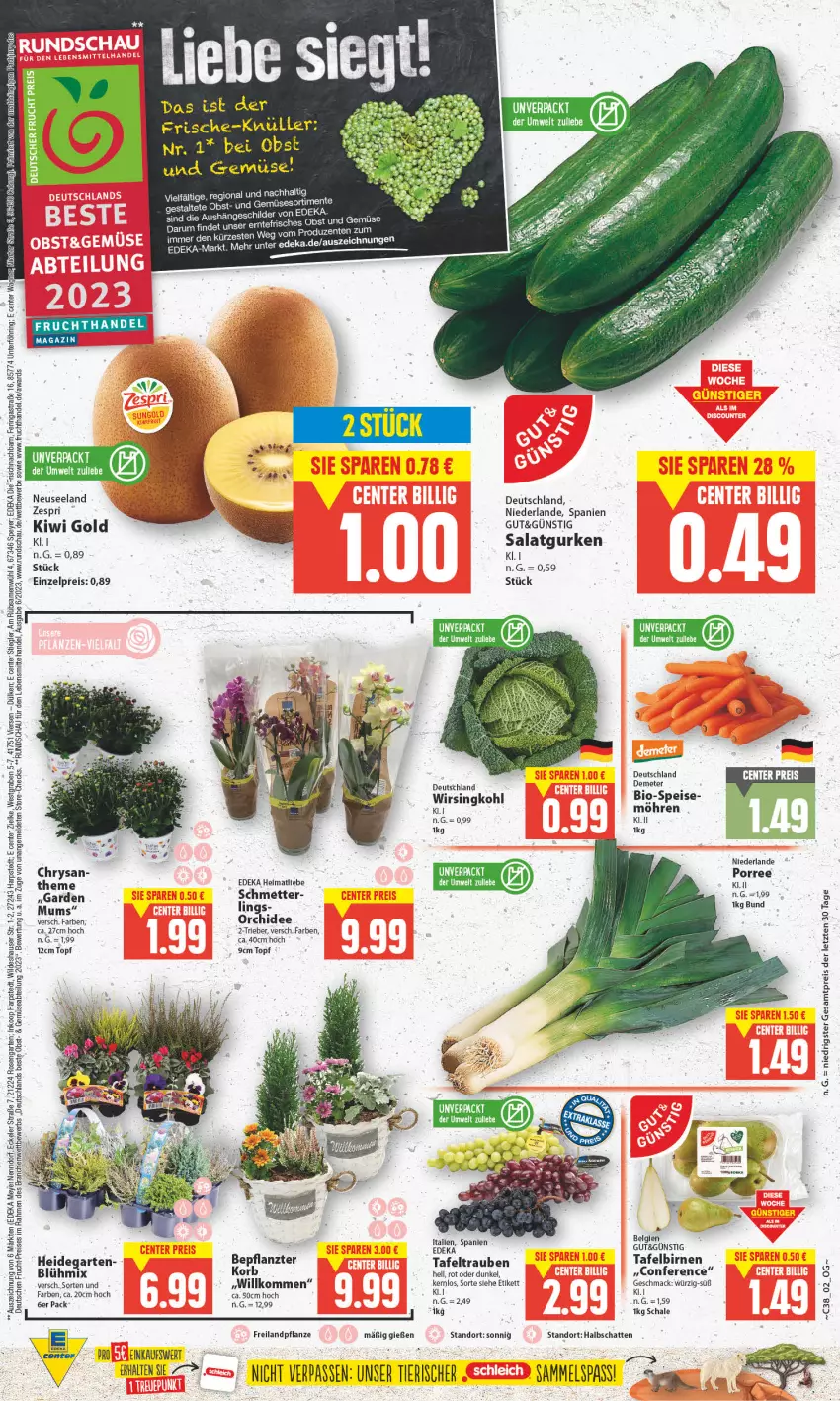 Aktueller Prospekt Edeka - Angebote der Woche - von 18.09 bis 23.09.2023 - strona 2 - produkty: Abtei, Astra, Birnen, deka, eis, Elan, ente, frucht, Garten, gurke, gurken, korb, lebensmittel, mac, Mett, obst, Obst und Gemüse, orchidee, pflanze, reis, ring, rosen, rum, salat, Salatgurke, salatgurken, speyer, Stiegl, tafelbirnen, tafeltrauben, Ti, topf, trauben, und gemüse, wagner, Wild, Wirsing, Wirsingkohl, zespri, ZTE