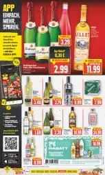 Gazetka promocyjna Edeka - Angebote der Woche - Gazetka - ważna od 23.09 do 23.09.2023 - strona 15 - produkty: angebot, angebote, auer, Bad, Brei, deka, dry gin, eis, elle, flasche, gin, kilbeggan, LG, maybach, nuss, reis, schorle, Three Sixty, Ti, underberg, vodka, wein, weine, weinschorle, ZTE