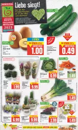 Gazetka promocyjna Edeka - Angebote der Woche - Gazetka - ważna od 23.09 do 23.09.2023 - strona 2 - produkty: Abtei, Astra, Birnen, deka, eis, Elan, ente, frucht, Garten, gurke, gurken, korb, lebensmittel, mac, Mett, obst, Obst und Gemüse, orchidee, pflanze, reis, ring, rosen, rum, salat, Salatgurke, salatgurken, speyer, Stiegl, tafelbirnen, tafeltrauben, Ti, topf, trauben, und gemüse, wagner, Wild, Wirsing, Wirsingkohl, zespri, ZTE