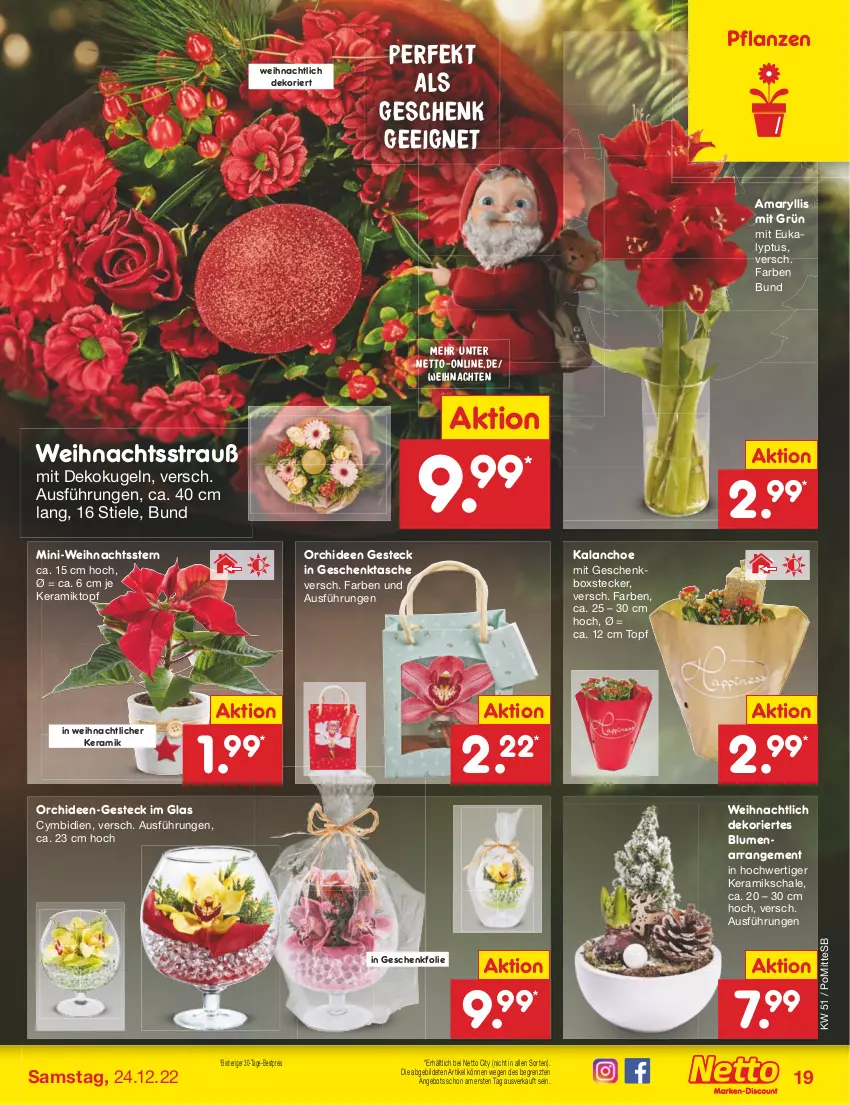 Aktueller Prospekt Netto Marken-Discount - Filial-Angebote - von 19.12 bis 24.12.2022 - strona 19 - produkty: angebot, bestpreis, blume, blumen, eis, Geschenkbox, Geschenktasche, Kalanchoe, Kugel, orchidee, orchideen, pflanze, pflanzen, reis, Schal, Schale, Tasche, Ti, topf, weihnachten, Weihnachtsstern, ZTE