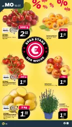 Gazetka promocyjna Netto - Woche 29 - Gazetka - ważna od 23.07 do 23.07.2022 - strona 2 - produkty: aprikose, aprikosen, eis, Frühkartoffeln, kartoffel, kartoffeln, kirsch, kirsche, kirschen, lavendel, mehl, Nektar, nektarinen, rispentomaten, speisefrühkartoffeln, Ti, tomate, tomaten, topf, zucker