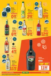 Gazetka promocyjna Metro - GastroJournal - Gazetka - ważna od 20.04 do 20.04.2022 - strona 21 - produkty: baileys, braun, campari, flasche, frucht, fruchtsaft, getränk, getränke, gin, irish cream, kleiner feigling, leine, lion, obst, Palette, rum, saft, spirituosen, Ti, top-hit, zitrone, zitronen, zitronensaft