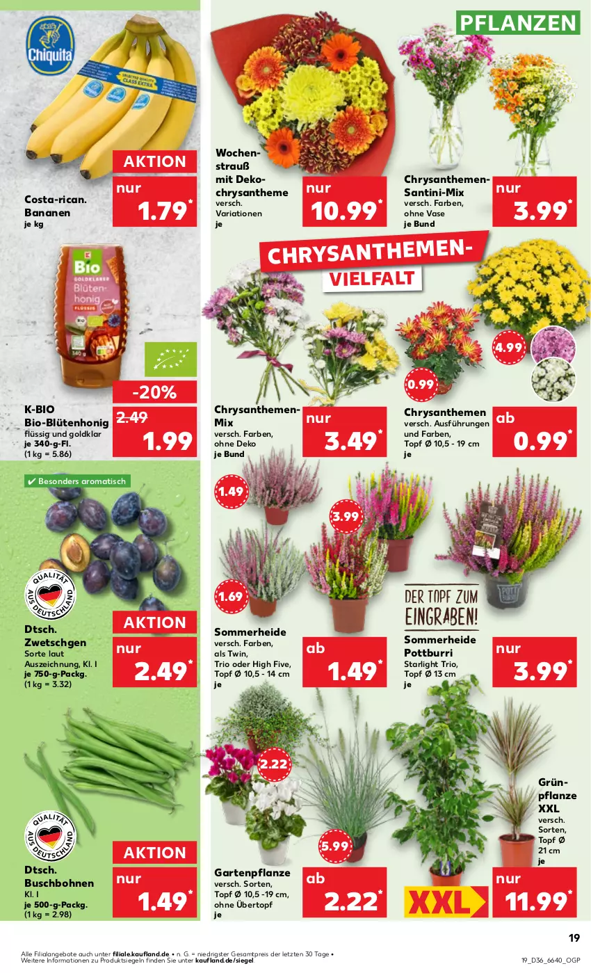 Aktueller Prospekt Kaufland - Prospekt - von 05.09 bis 11.09.2024 - strona 19 - produkty: angebot, angebote, banane, bananen, bio, Blüte, blütenhonig, bohne, bohnen, Buschbohnen, chrysanthemen, eis, Garten, Gartenpflanze, honig, pflanze, pflanzen, reis, Ria, starlight, Ti, tisch, topf, übertopf, Vase, ZTE