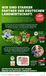 Gazetka promocyjna Kaufland - Prospekt - Gazetka - ważna od 11.09 do 11.09.2024 - strona 17 - produkty: angebot, angebote, Babyspinat, Bad, Bau, Cap, cola, eis, elle, fleisch, geschnetzeltes, küche, natur, reis, rucola, sac, salat, schwein, schweine, schweinefleisch, Spezi, spinat, teller, Ti, wein, weine, Zelt, ZTE