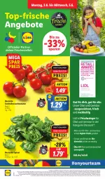 Gazetka promocyjna Lidl - Aktionsprospekt - Gazetka - ważna od 08.06 do 08.06.2024 - strona 2 - produkty: Abtei, angebot, angebote, bio, cocktail, cocktails, coupon, discount, eis, frucht, magazin, obst, Obst und Gemüse, pril, Rauch, reis, spinat, strauchtomaten, Ti, tomate, tomaten, und gemüse