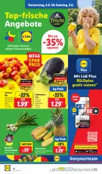 Gazetka promocyjna Lidl - Aktionsprospekt - Gazetka - ważna od 08.06 do 08.06.2024 - strona 48 - produkty: ananas, angebot, angebote, aubergine, auberginen, eis, gin, Lauchzwiebel, lauchzwiebeln, ndk, reis, Schal, Schale, Ti, tomate, tomaten, zwiebel, zwiebeln