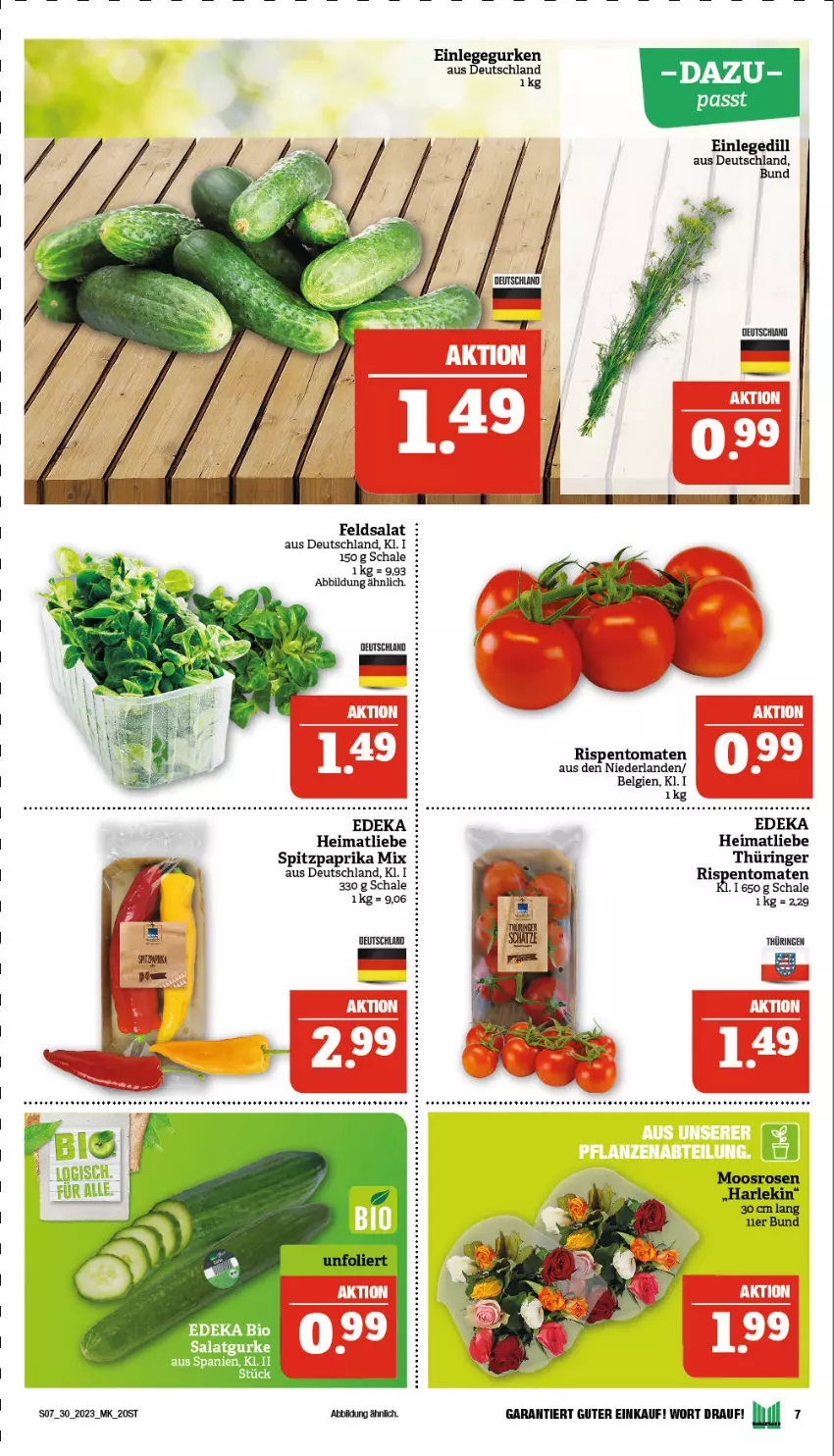 Aktueller Prospekt Marktkauf - Prospekt - von 23.07 bis 29.07.2023 - strona 7 - produkty: deka, elle, feldsalat, gurke, gurken, LG, paprika, paprika mix, ring, rispentomaten, rosen, salat, Salatgurke, Schal, Schale, Spitzpaprika, tee, teller, Ti, tomate, tomaten