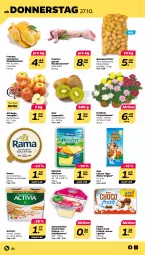 Gazetka promocyjna Netto - Woche 43 - Gazetka - ważna od 29.10 do 29.10.2022 - strona 22 - produkty: activia, choco fresh, chrysanthemen, dessert, eis, gin, grütze, kartoffel, kartoffeln, Kinder, Kinder Choco fresh, kiwi, mais, milch, milram, rama, Rote Grütze, sac, speisekartoffeln, Ti, topf, zott