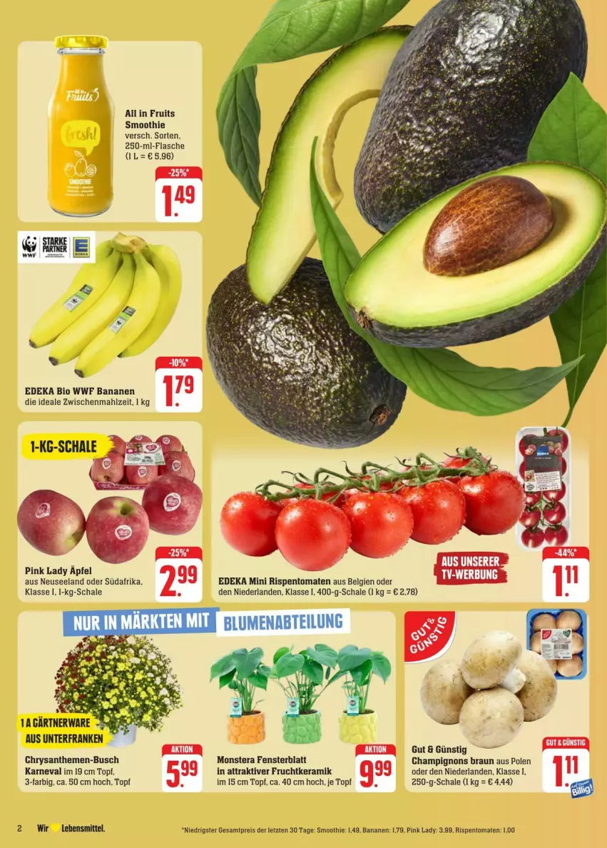 Aktueller Prospekt Edeka - Prospekte - von 31.08 bis 07.09.2024 - strona 2 - produkty: banane, bananen, bio, braun, champignon, champignons, champignons braun, chrysanthemen, deka, edeka bio, eis, Elan, fenster, flasche, frucht, lebensmittel, LG, monster, Monstera, Pink Lady, reis, rispentomaten, Schal, Schale, smoothie, Ti, tomate, tomaten, topf, ZTE