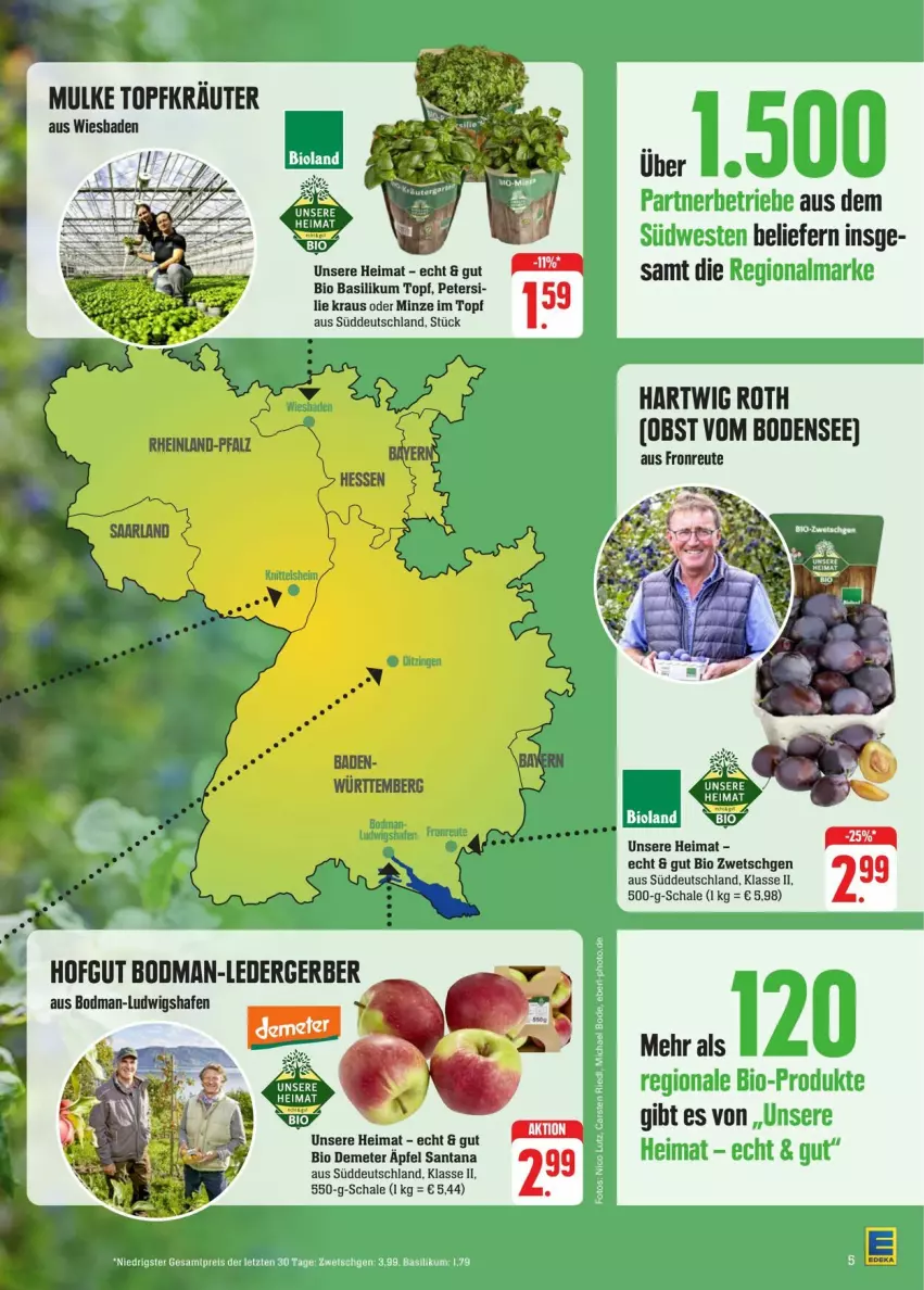 Aktueller Prospekt Edeka - Prospekte - von 31.08 bis 07.09.2024 - strona 5 - produkty: Bad, basilikum, bio, eier, eis, Gerber, hofgut, kräuter, minze, reis, Schal, Schale, Ti, topf, Topfkräuter