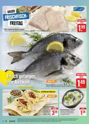 Gazetka promocyjna Edeka - Prospekte - Gazetka - ważna od 07.09 do 07.09.2024 - strona 14 - produkty: aqua, deka, Dorade, dorade royal, eis, filet, filets, fisch, fische, Fischer, fleisch, gurke, gurken, hering, Herings, Heringshappen, joghur, joghurt, Kürbis, lachs, lachsfilet, lebensmittel, Nordsee, nuss, reis, ring, Rotbarsch, rotbarschfilet, rwe, Schere, südwest, Ti, ZTE, zwiebel, zwiebeln