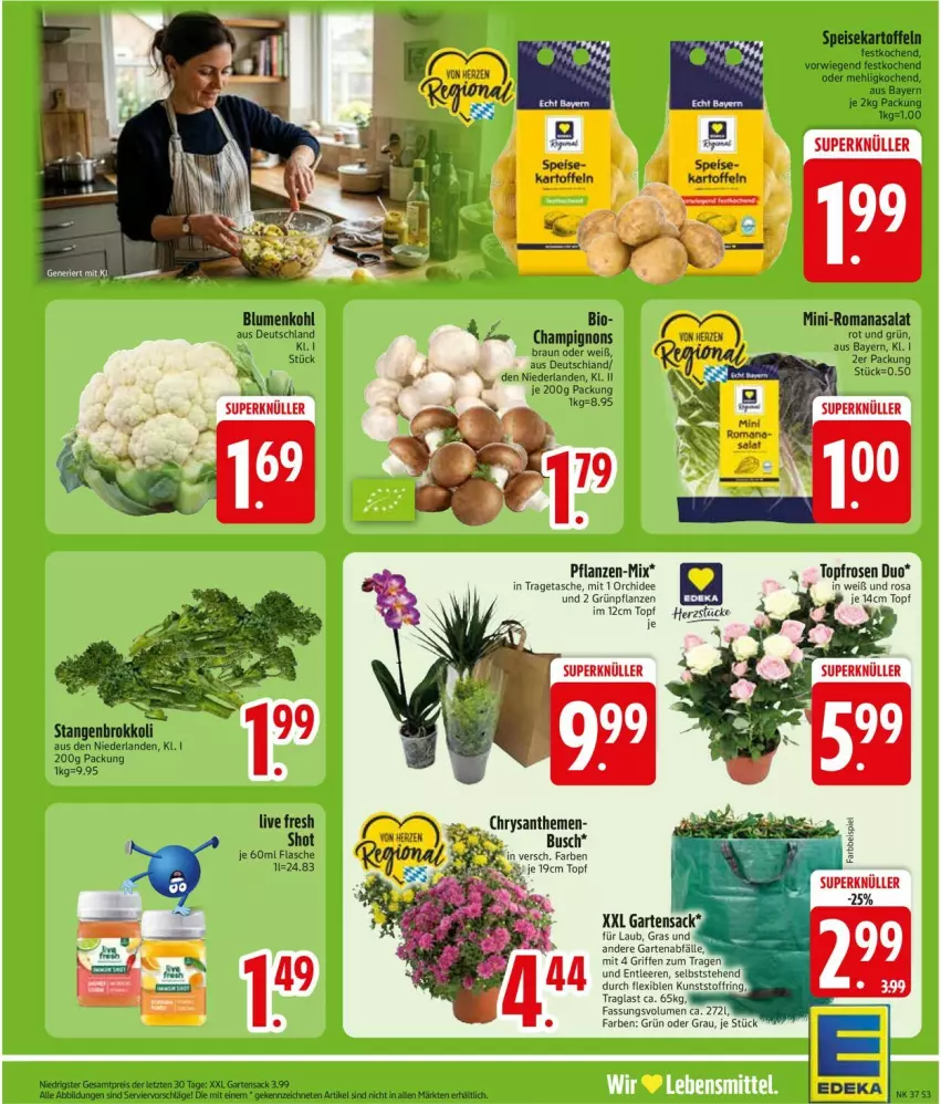 Aktueller Prospekt Edeka - Prospekte - von 07.09 bis 12.09.2026 - strona 5 - produkty: Grünpflanzen, lebensmittel, orchidee, pflanze, pflanzen, rosen, Tasche, topf, tragetasche