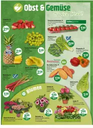 Gazetka promocyjna Vmarkt - Prospekte - Gazetka - ważna od 22.05 do 22.05.2024 - strona 4 - produkty: beutel, bio, kartoffel, kartoffeln, Kraut, LG, paprika, salat, salatherzen, Schal, Schale, Süßkartoffeln, tomate, tomaten